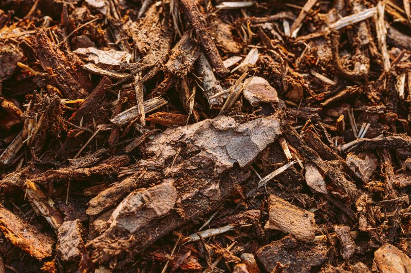 Decorative Mulch Types